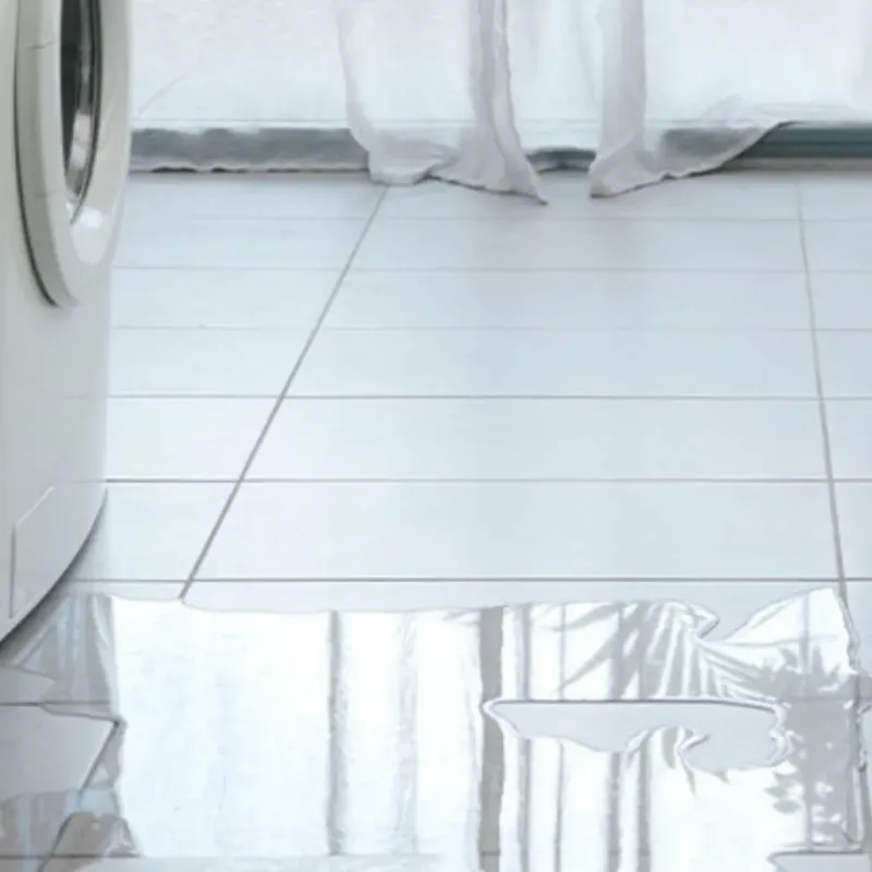 Appliance Leak Cleanup in Gray County, KS