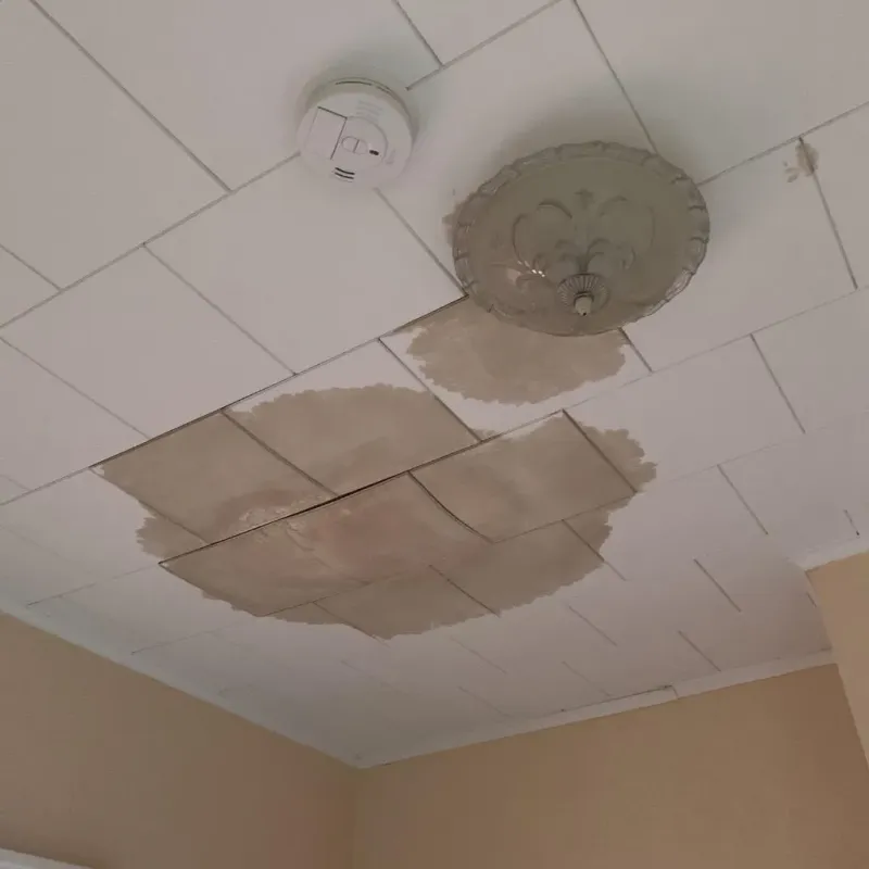 Ceiling Water Damage Repair in Gray County, KS