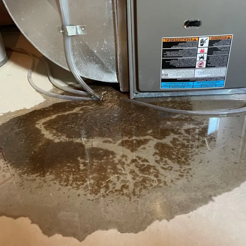 Pipe Burst and Leak Restoration in Gray County, KS